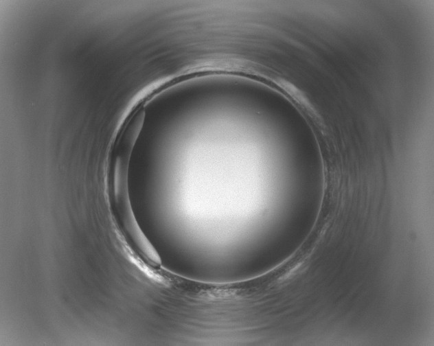 X0000081590846200701151307