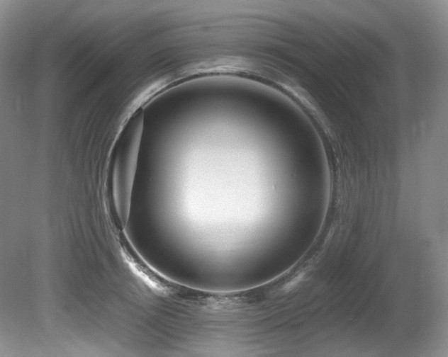 X0000081590850200701151307
