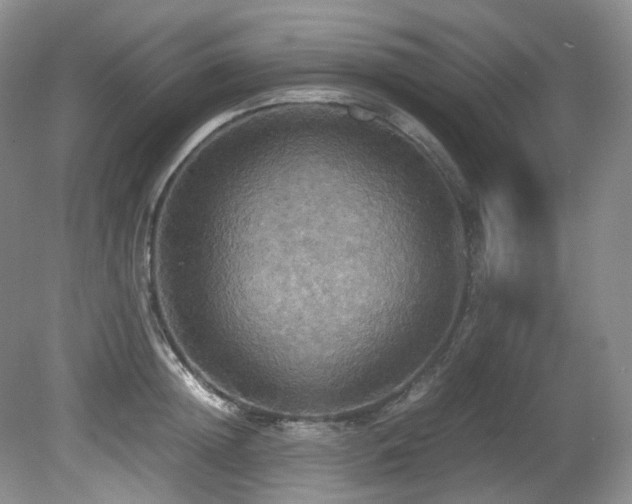 X0000081590852200701151307