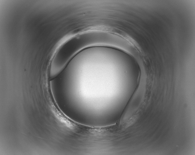 X0000081590854200701151307