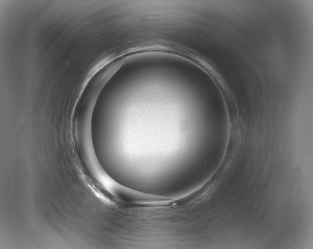 X0000081590858200701151307