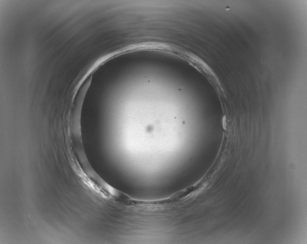 X0000081590860200701151307