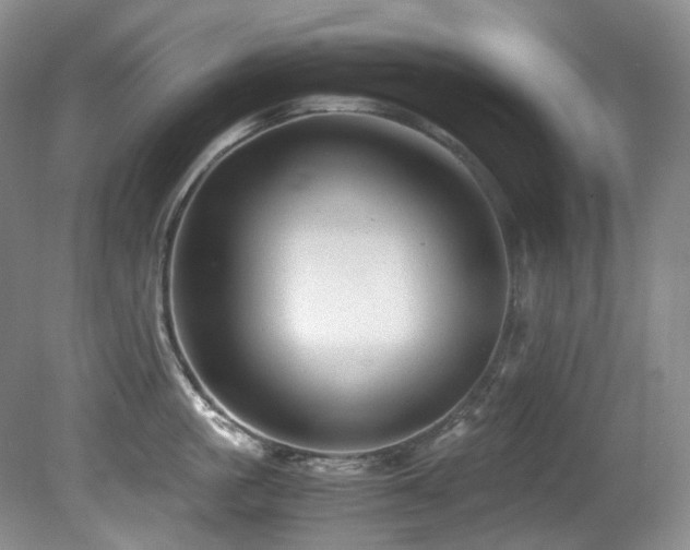 X0000081590861200701151307