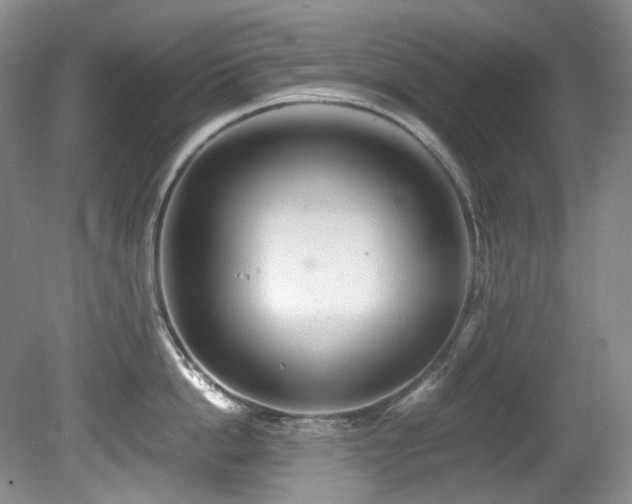 X0000081590862200701151307