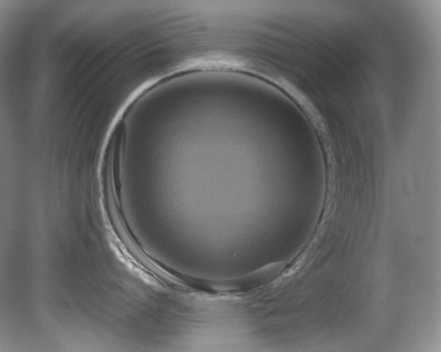 X0000081590864200701151307