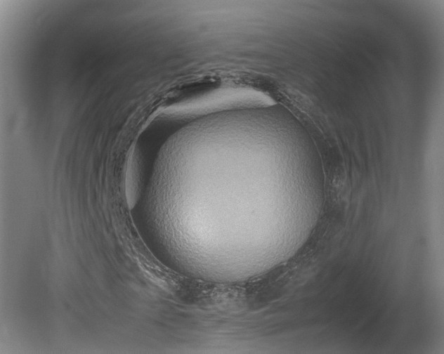 X0000081590865200701151306