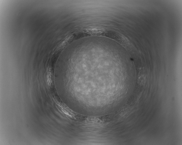 X0000081590866200701151306