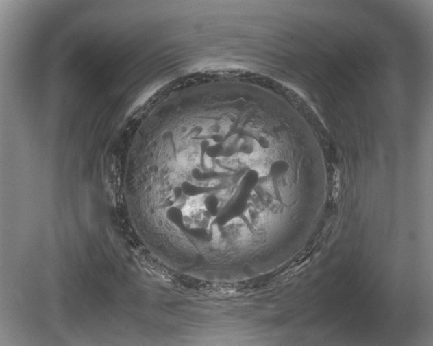 X0000081590871200701151306