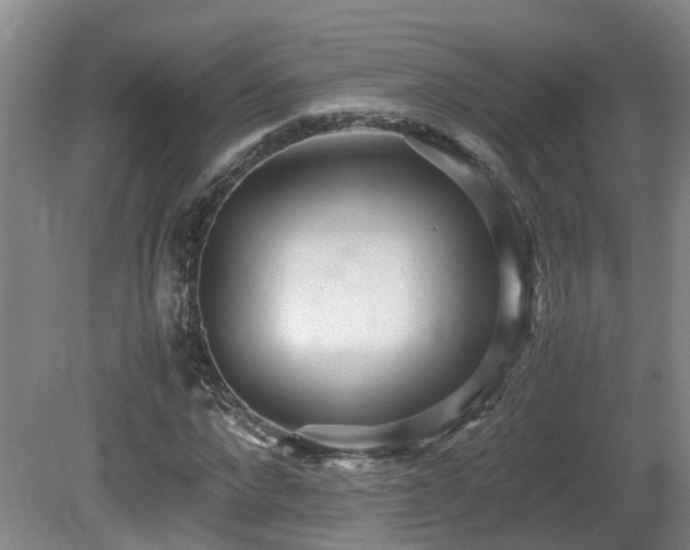 X0000081590872200701151306