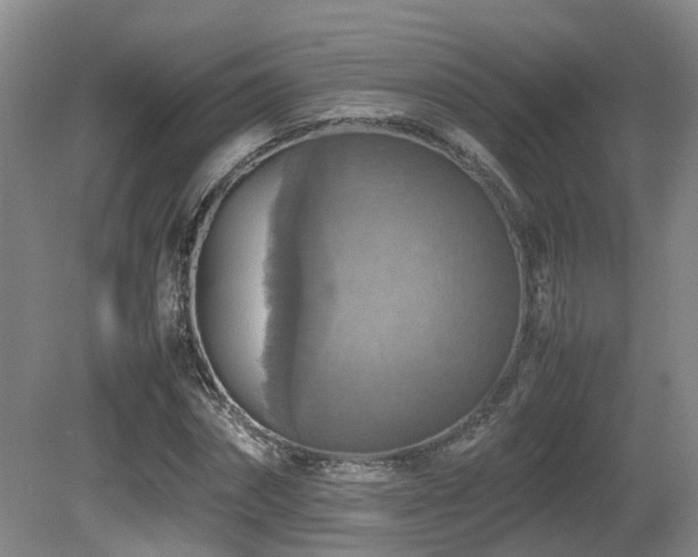 X0000081590874200701151306