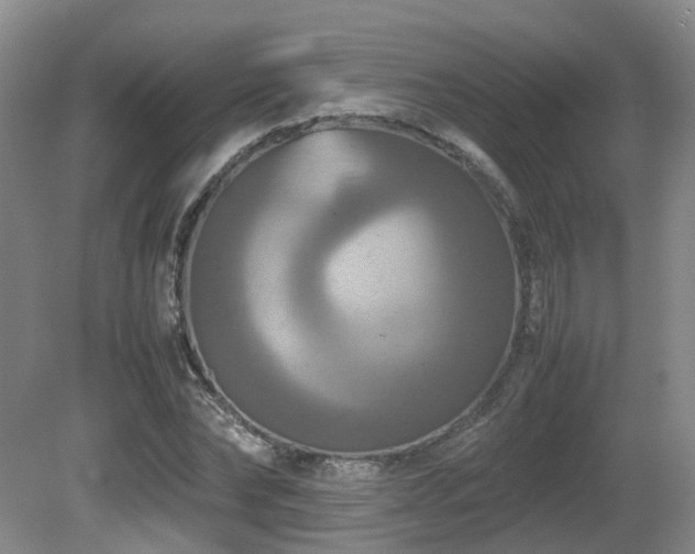 X0000081590878200701151306