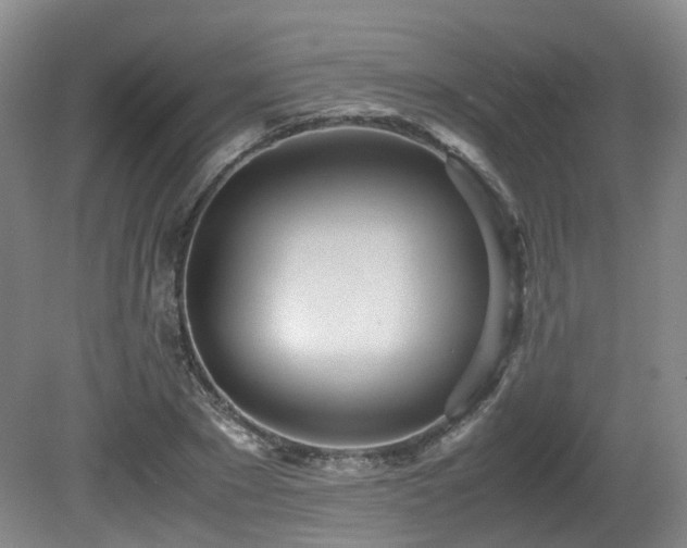 X0000081590881200701151306