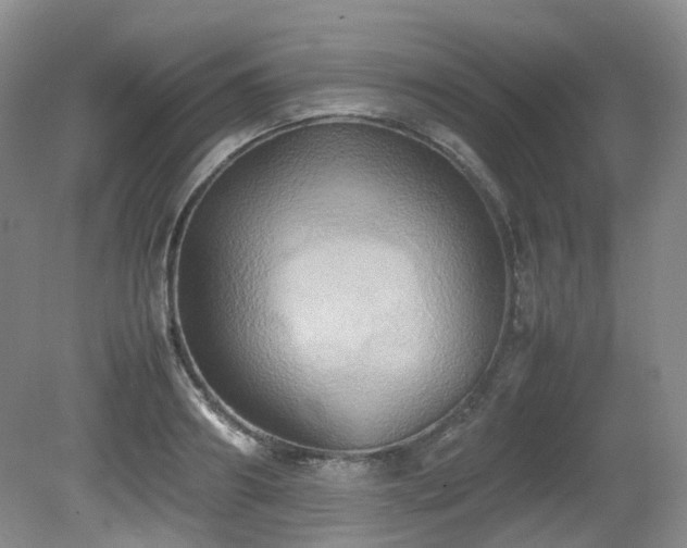 X0000081590890200701151306