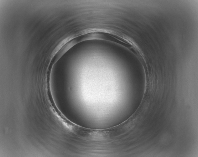 X0000081590898200701151306