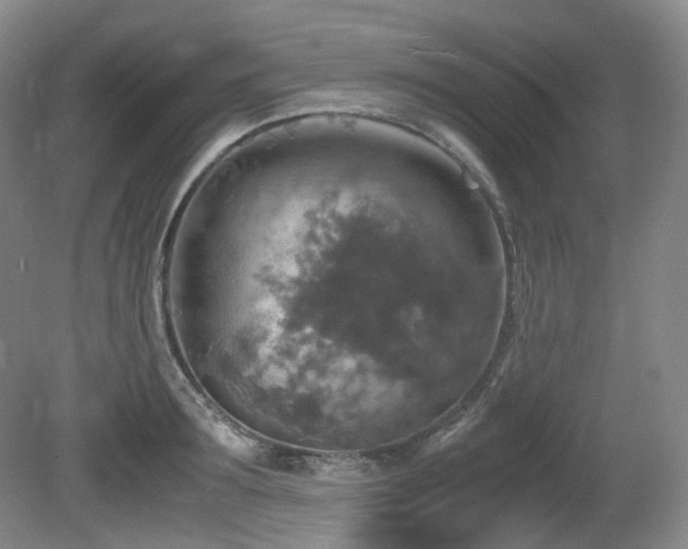 X0000081590899200701151306