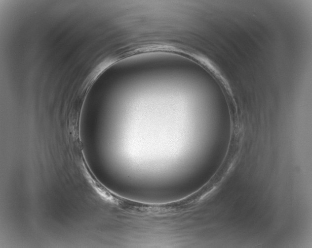X0000081590905200701151306