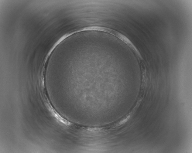 X0000081590908200701151306