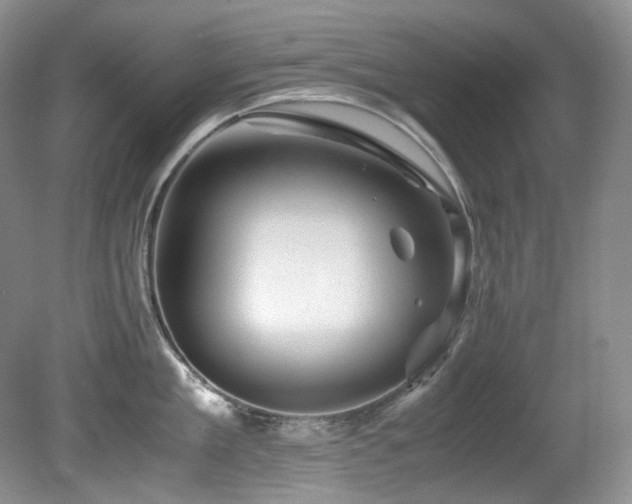 X0000081590909200701151306