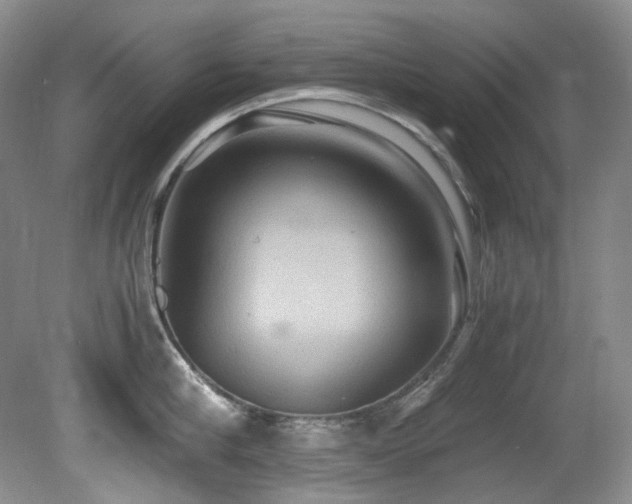 X0000081590910200701151306
