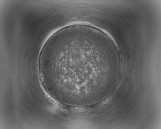 X0000081590911200701151306