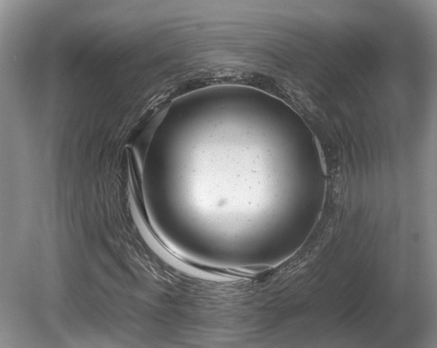X0000081590916200701151305