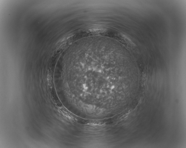 X0000081590917200701151305