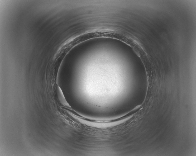 X0000081590920200701151305