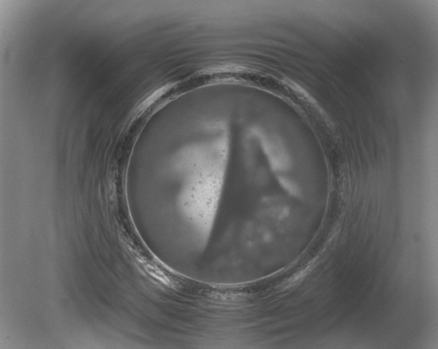 X0000081590921200701151305