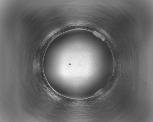 X0000081590922200701151305