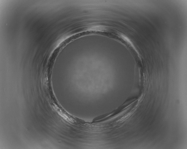 X0000081590923200701151305