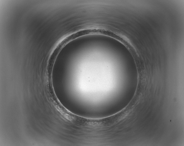 X0000081590927200701151305