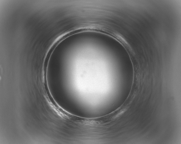 X0000081590940200701151305