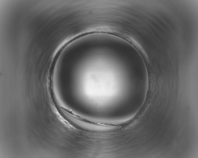X0000081590944200701151305