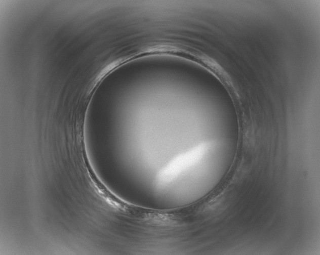 X0000081590945200701151305