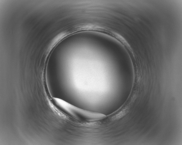 X0000081590946200701151305