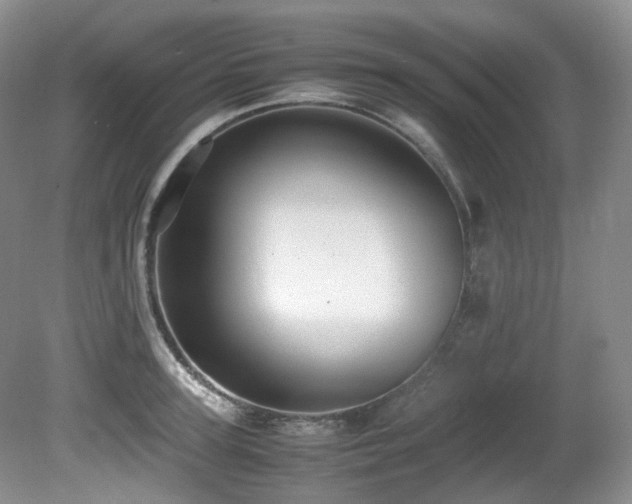 X0000081590947200701151305
