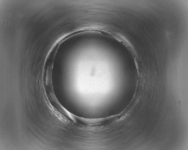 X0000081590948200701151305