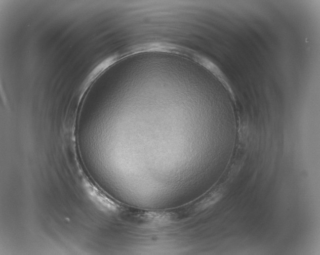 X0000081590954200701151306