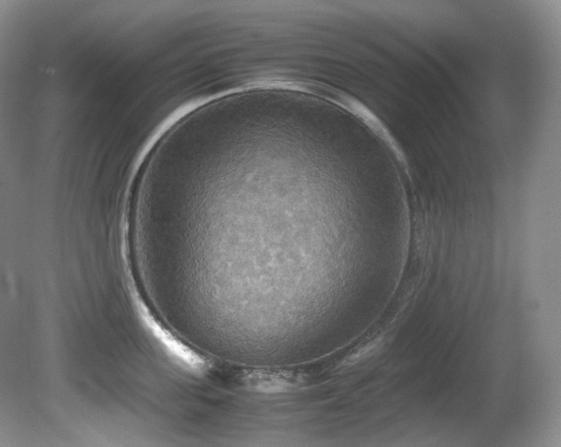 X0000081590955200701151306