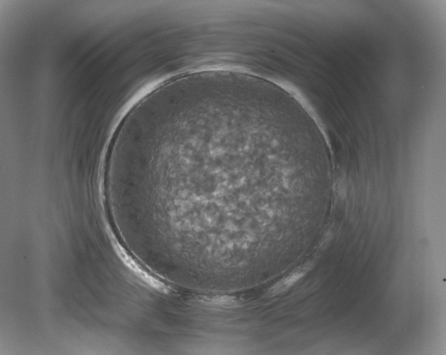X0000081590957200701151306