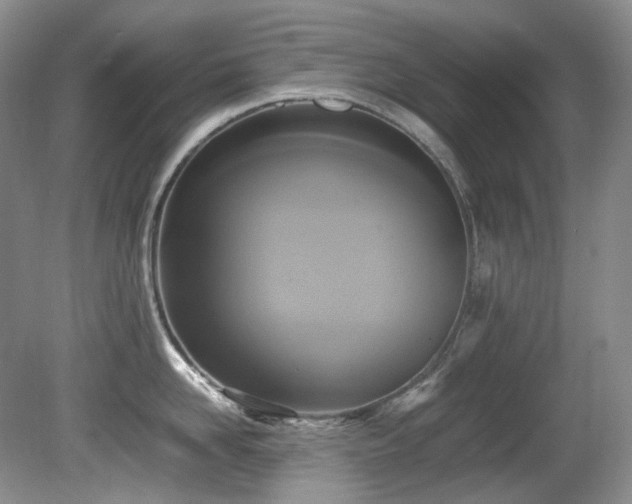 X0000081590958200701151306