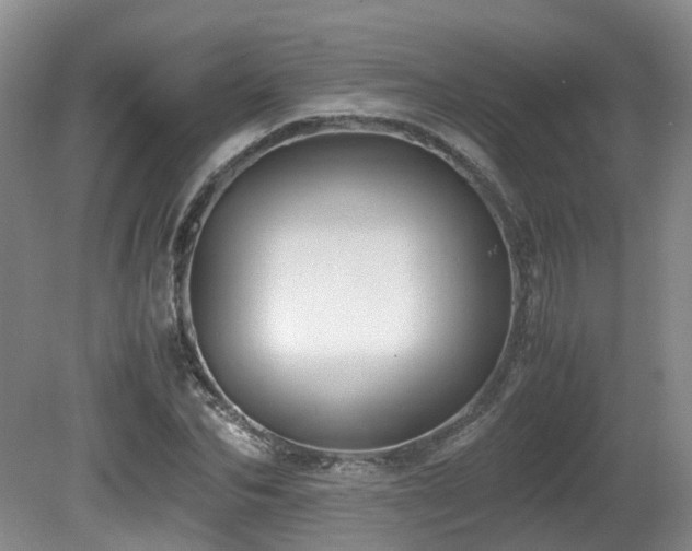 X0000081590974200701151305