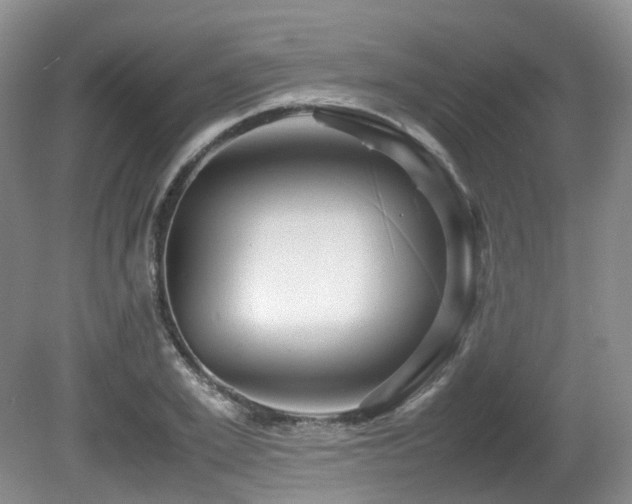 X0000081590981200701151305