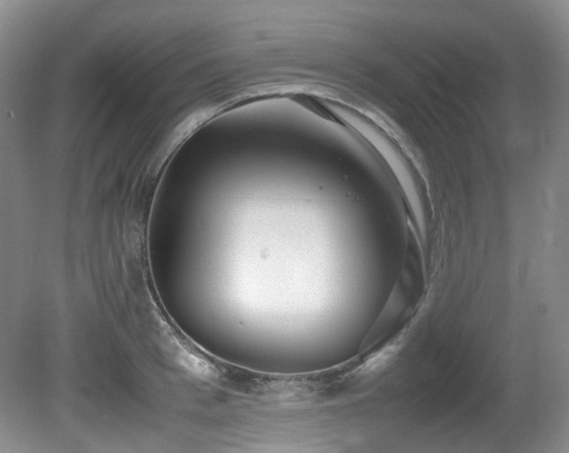 X0000081590993200701151304