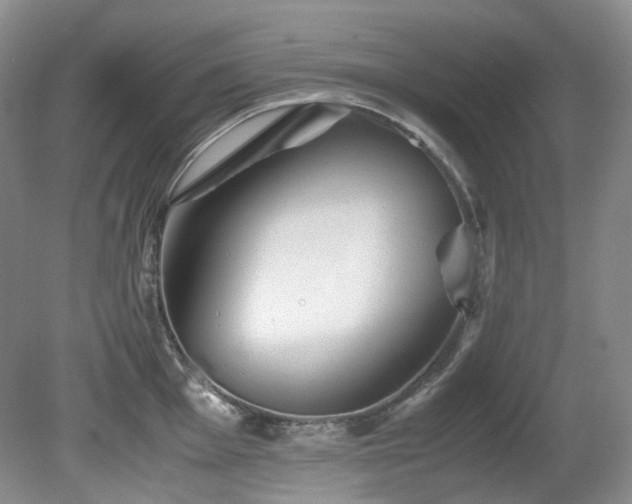 X0000081591001200701151304