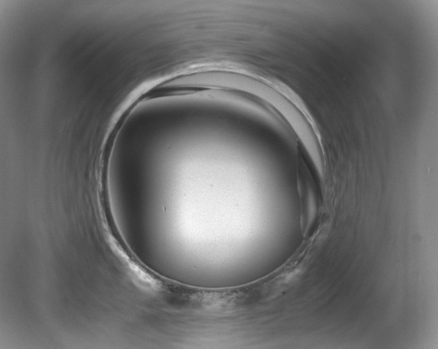 X0000081591005200701151304