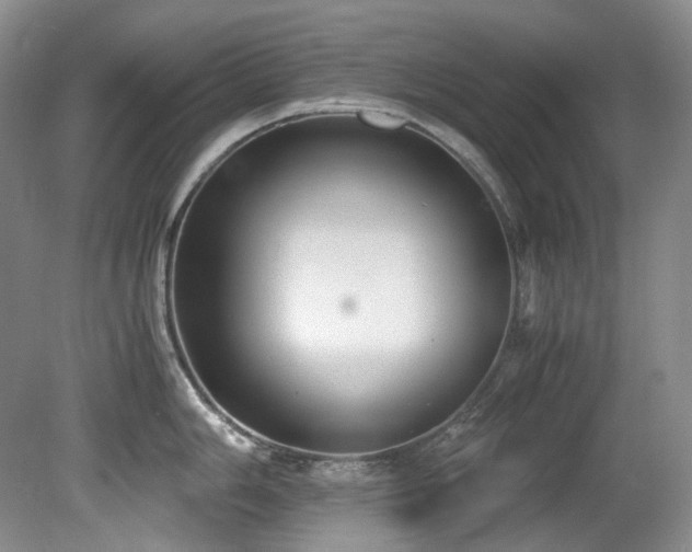 X0000081591006200701151304