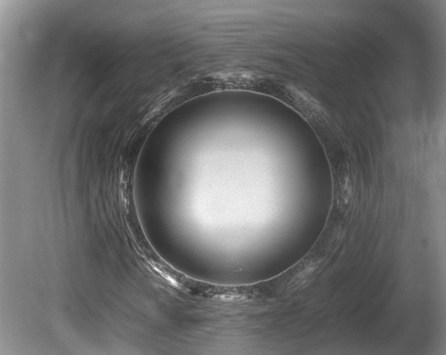 X0000081591010200701151303