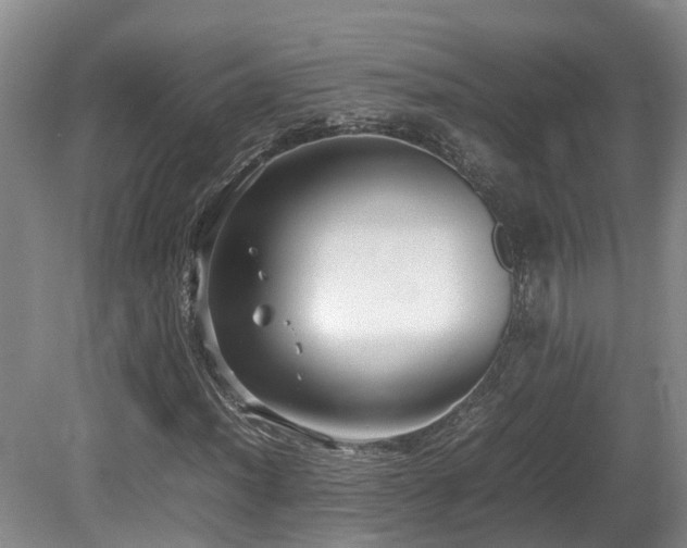 X0000081591012200701151303
