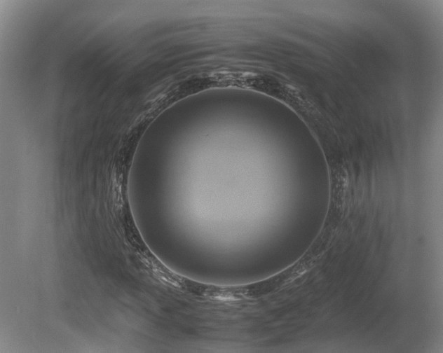 X0000081591013200701151303